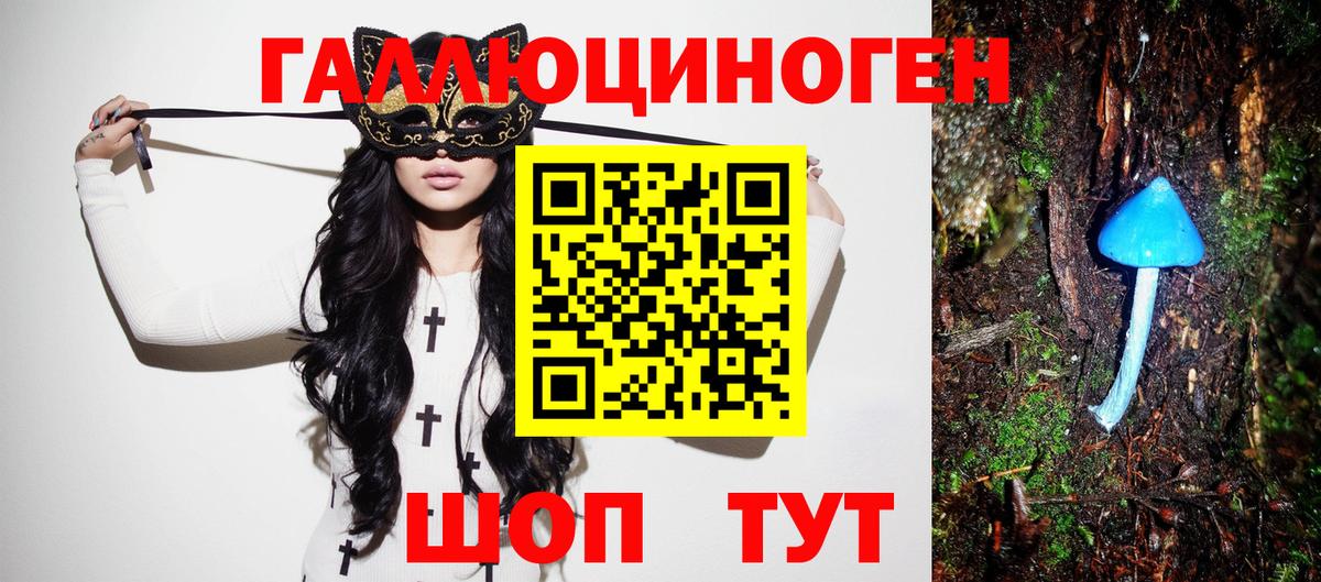 Псилоцибиновые грибы GOLDEN TEACHER Кубинка