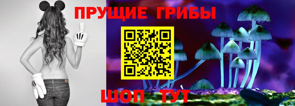 Галлюциногенные грибы MAGIC MUSHROOMS  Вход с VPN  Кубинка  Галлюциногенные грибы Psilocybine cubensis 
